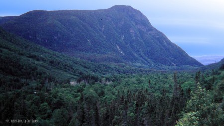 Arrière-Pays de Cap-Chat
